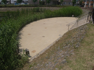 碧南市　公園　モネの池